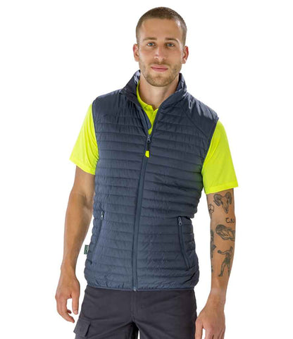 RS239 Navy/Navy Model